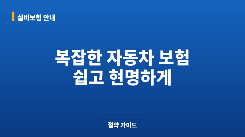 자동차보험조회 보조 이미지