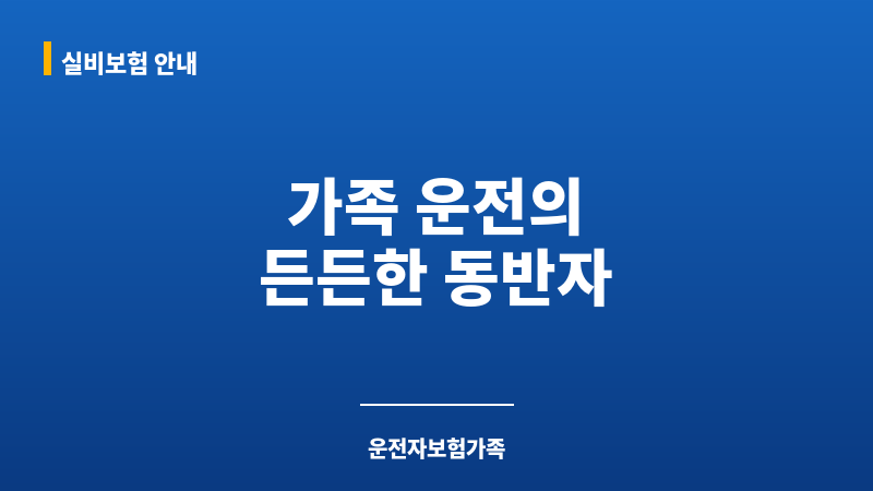 운전자보험가족 보조 이미지