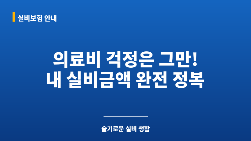 실비금액 보조 이미지