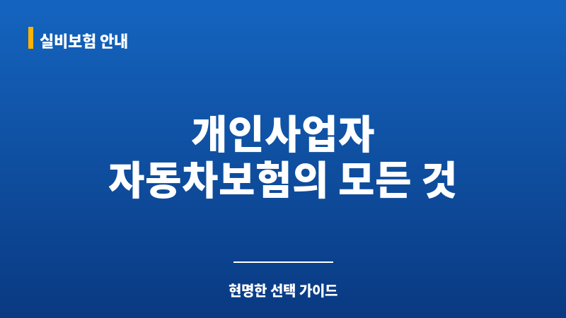개인사업자자동차보험 보조 이미지 개인사업자자동차보험 보조 이미지