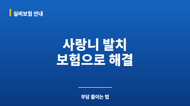 사랑니발치치아보험 보조 이미지 사랑니발치치아보험 보조 이미지