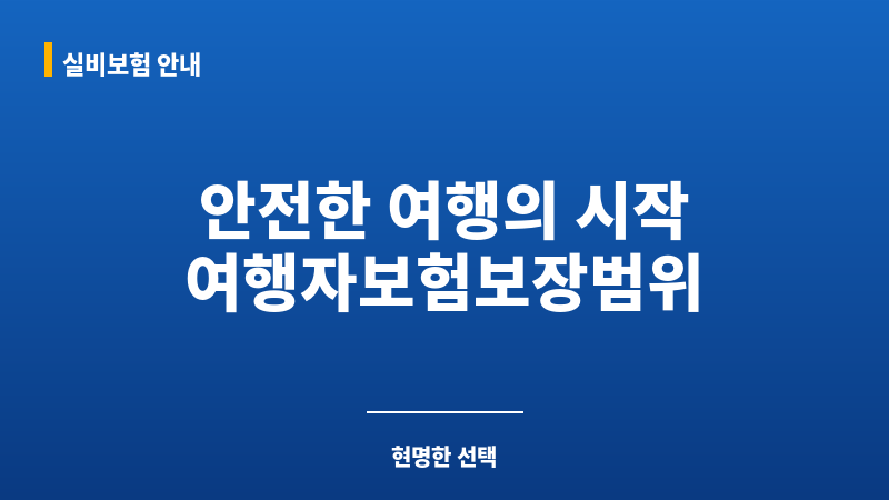여행자보험보장범위 보조 이미지 여행자보험보장범위 보조 이미지