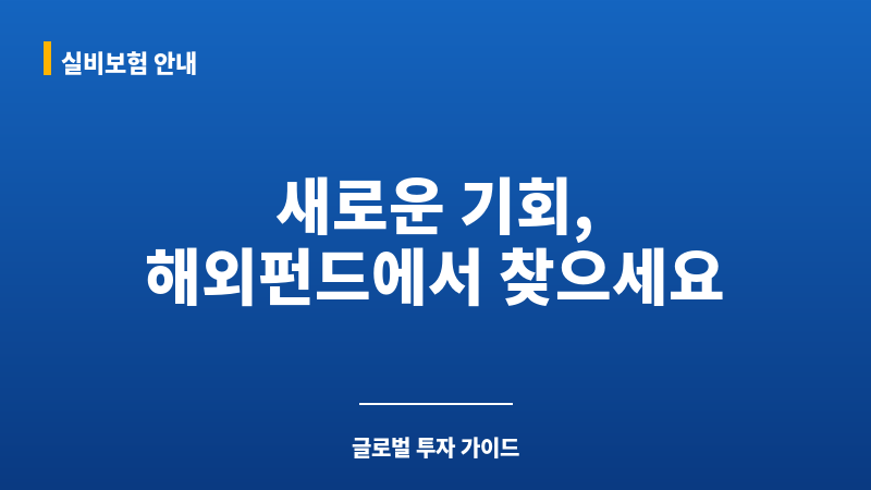 해외펀드 보조 이미지