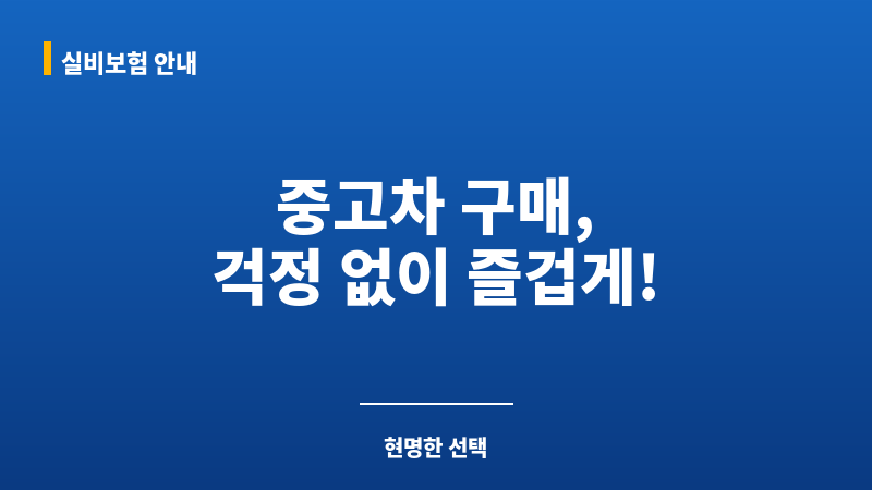 중고차출고보험 보조 이미지 중고차출고보험 보조 이미지