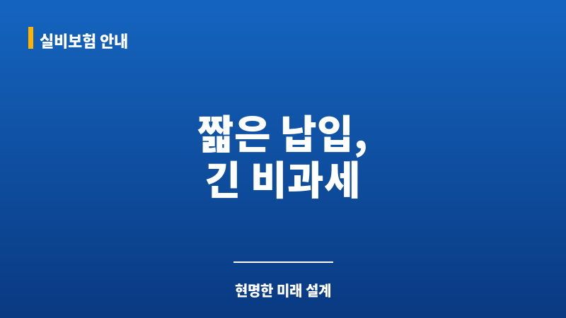 단기납종신보험비과세 보조 이미지 단기납종신보험비과세 보조 이미지