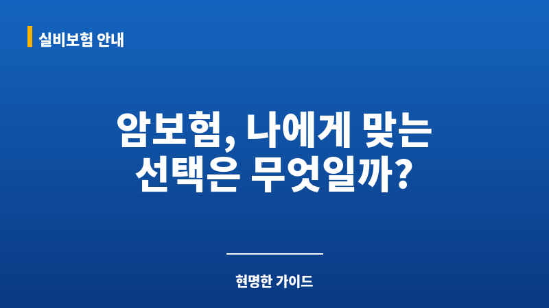 암보험갱신형비갱신형 보조 이미지