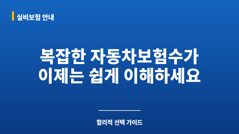 자동차보험수가 보조 이미지