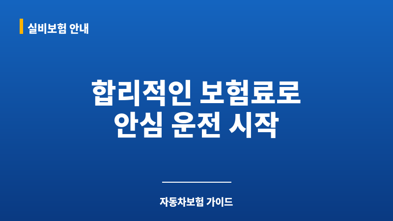 자동차보험비용 보조 이미지