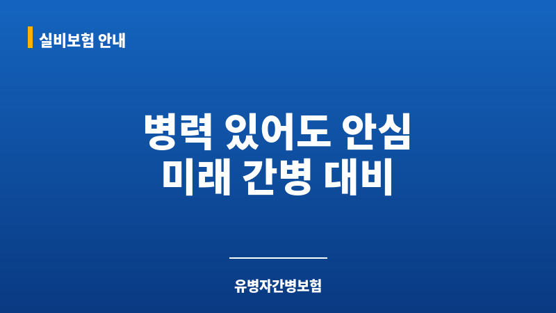 유병자간병보험 보조 이미지