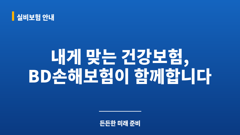 BD손해보험 보조 이미지