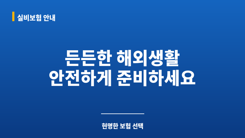해외장기체류보험비교 보조 이미지 해외장기체류보험비교 보조 이미지