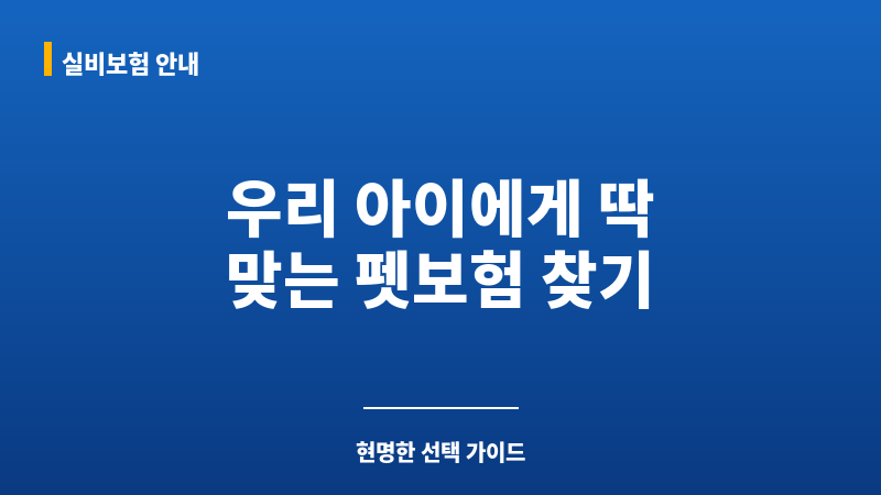 펫보험순위 보조 이미지 펫보험순위 보조 이미지
