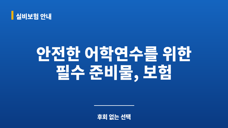 어학연수보험 보조 이미지