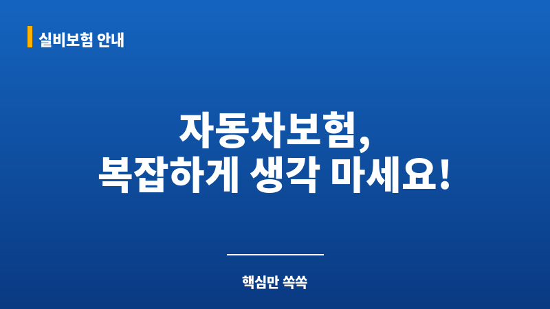 자동차보험의 보조 이미지