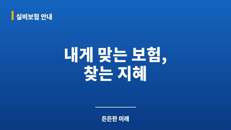 보험관리 보조 이미지 보험관리 보조 이미지