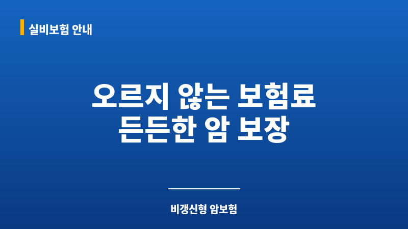 비갱신형암보험비교사이트 보조 이미지