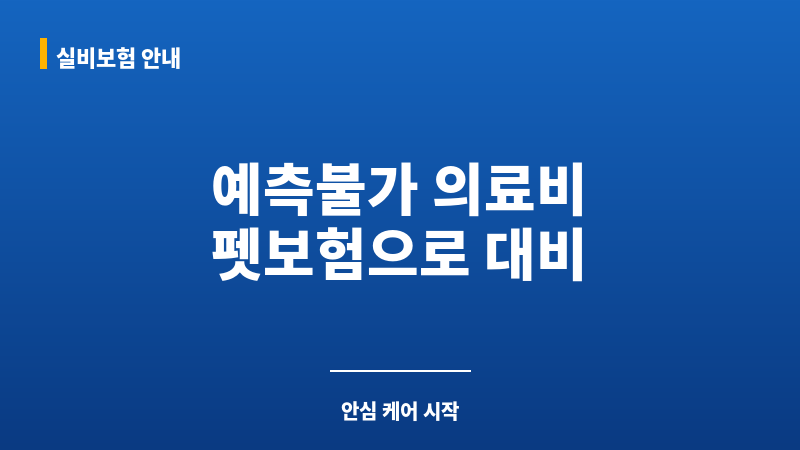 펫보험필요성 보조 이미지