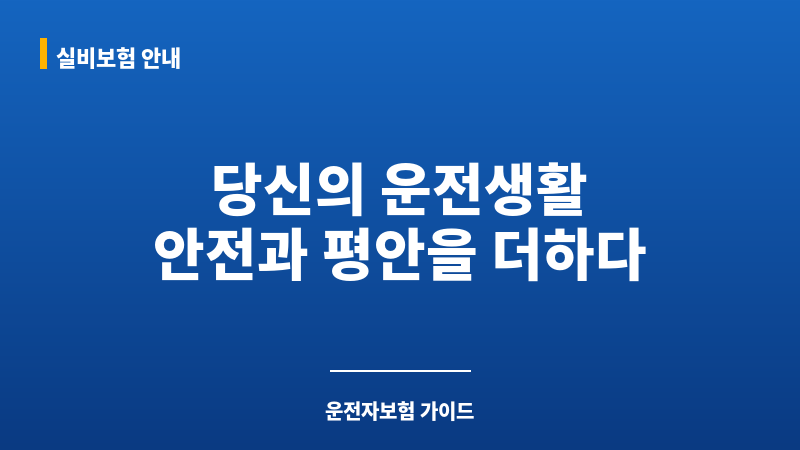 운전자보험가입확인 보조 이미지