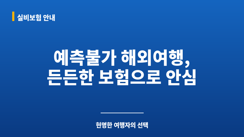 단기해외여행자보험 보조 이미지