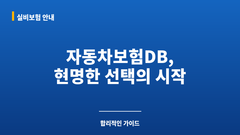 자동차보험DB 보조 이미지