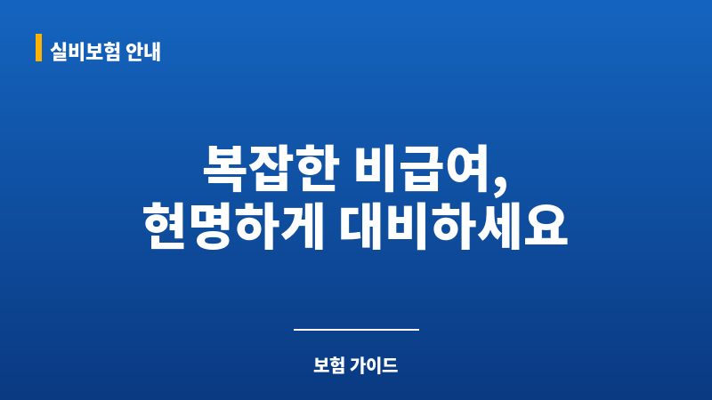 비급여실비보험 보조 이미지