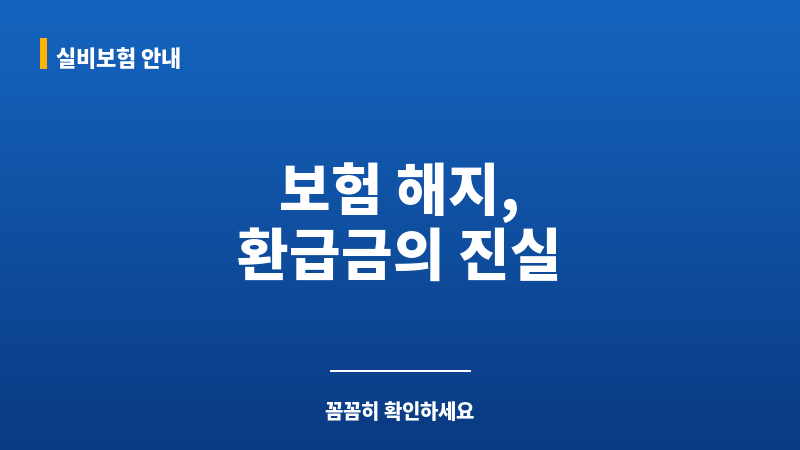 보험해지환급금 보조 이미지