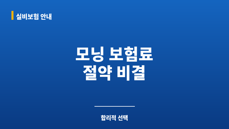 모닝자동차보험 보조 이미지