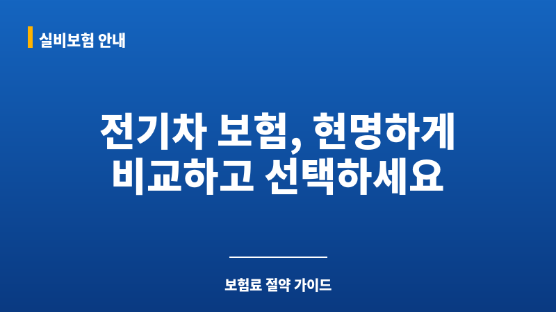 전기차보험료비교 보조 이미지