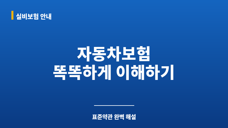 자동차보험표준약관 보조 이미지