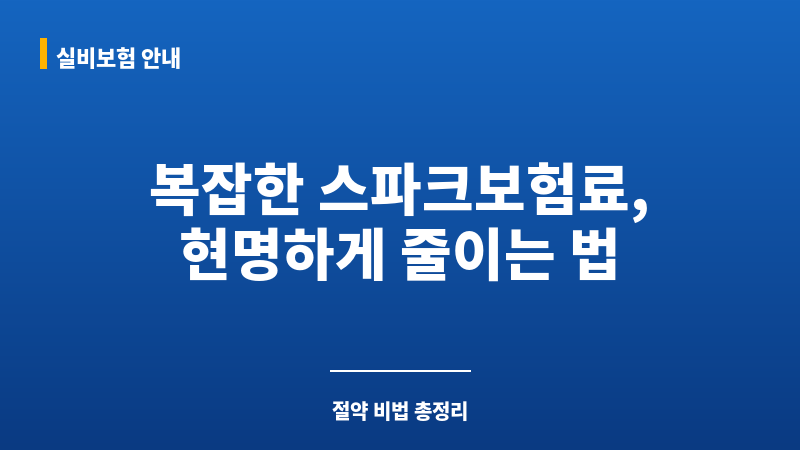 스파크보험료 보조 이미지