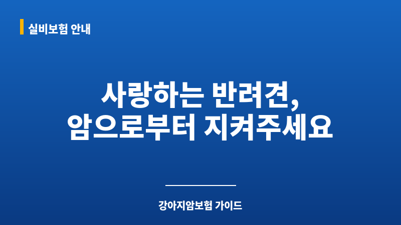 강아지암보험 보조 이미지 강아지암보험 보조 이미지