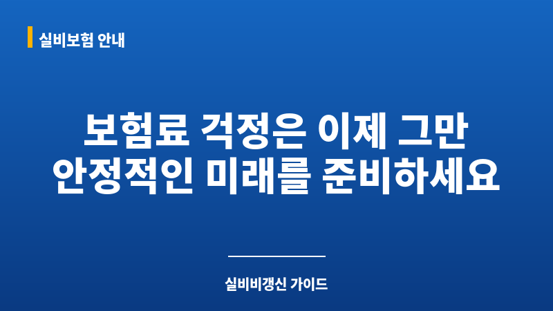 실비비갱신 보조 이미지