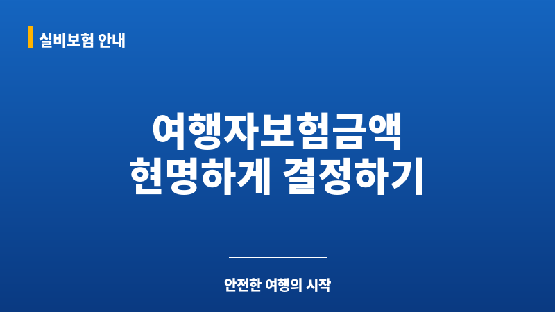 여행자보험금액 보조 이미지