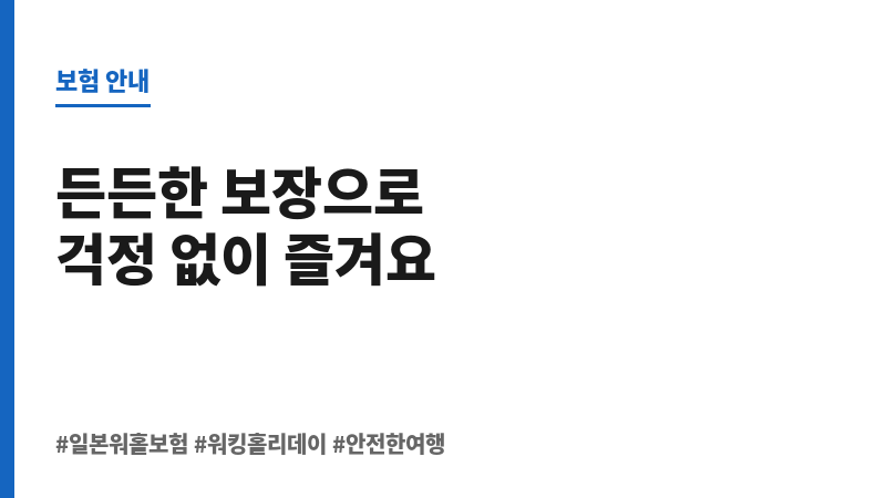 일본워홀보험 보조 이미지