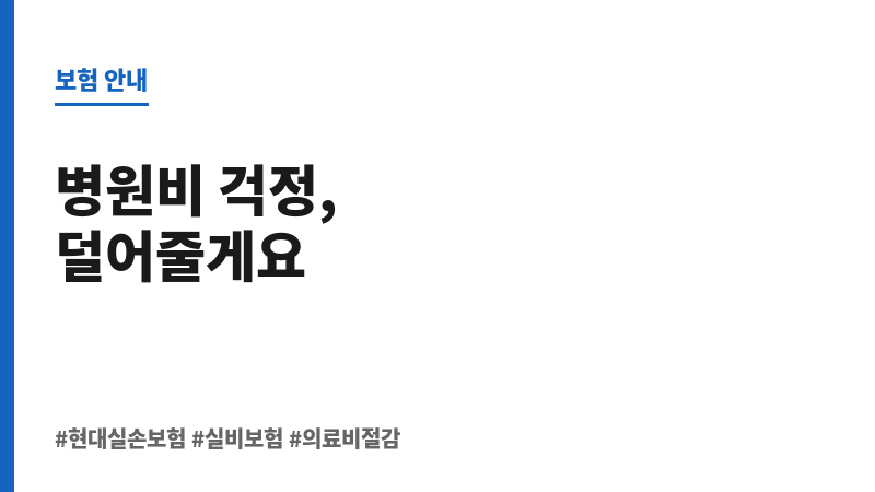 현대실손보험 보조 이미지 현대실손보험 보조 이미지