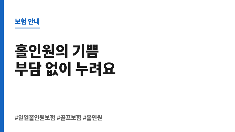 일일홀인원보험 보조 이미지