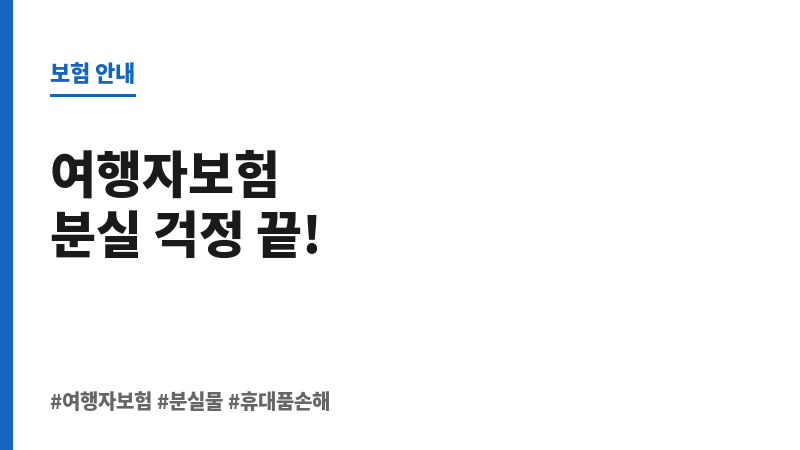여행자보험분실 보조 이미지
