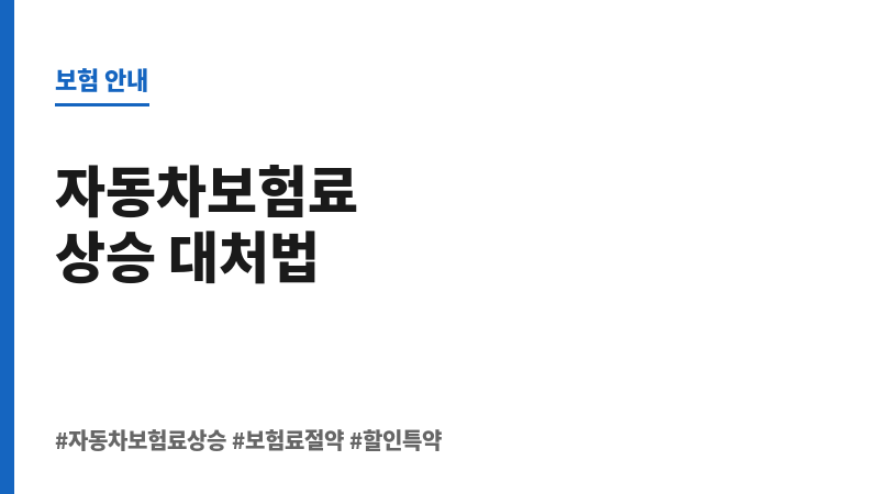 자동차보험료상승 보조 이미지