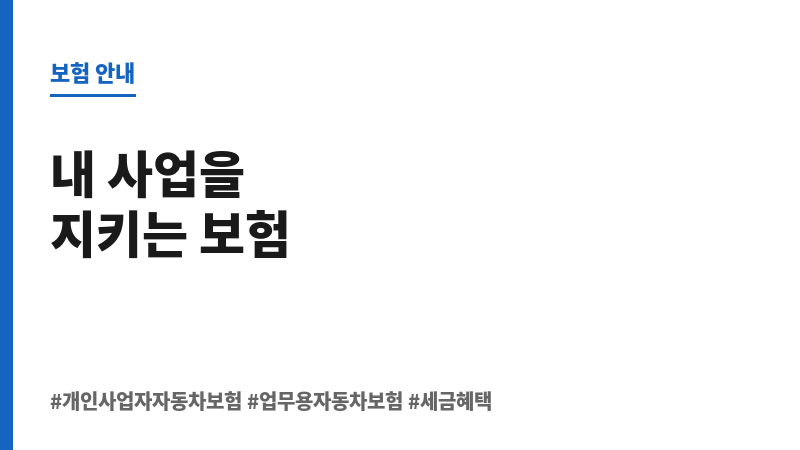 개인사업자자동차보험 보조 이미지 개인사업자자동차보험 보조 이미지