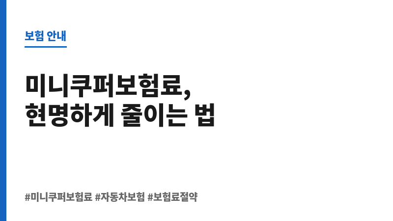 미니쿠퍼보험료 보조 이미지