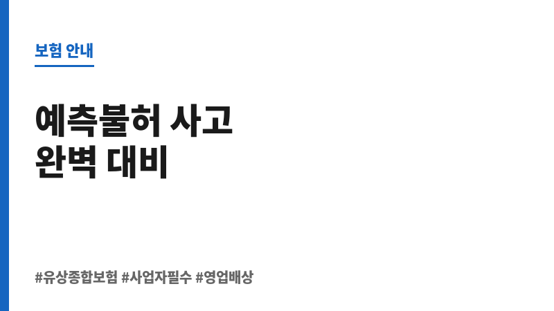 유상종합보험 보조 이미지 유상종합보험 보조 이미지
