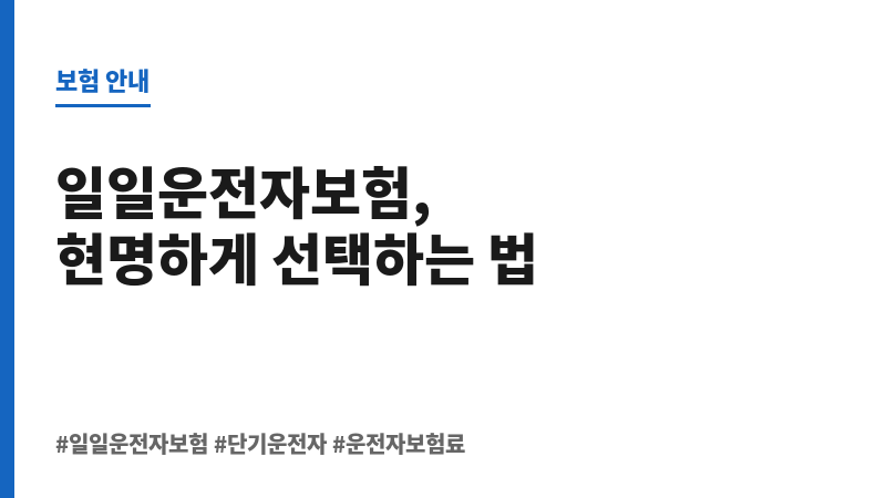 일일운전자보험가격 보조 이미지