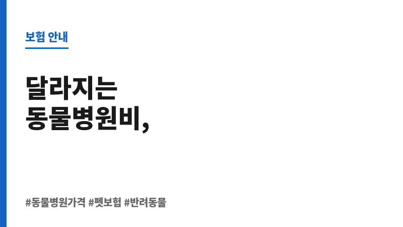 동물병원가격 보조 이미지