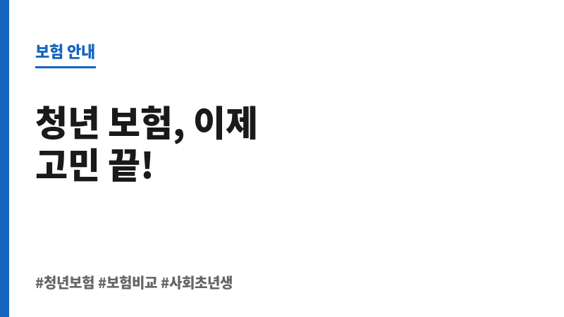 청년보험비교 보조 이미지