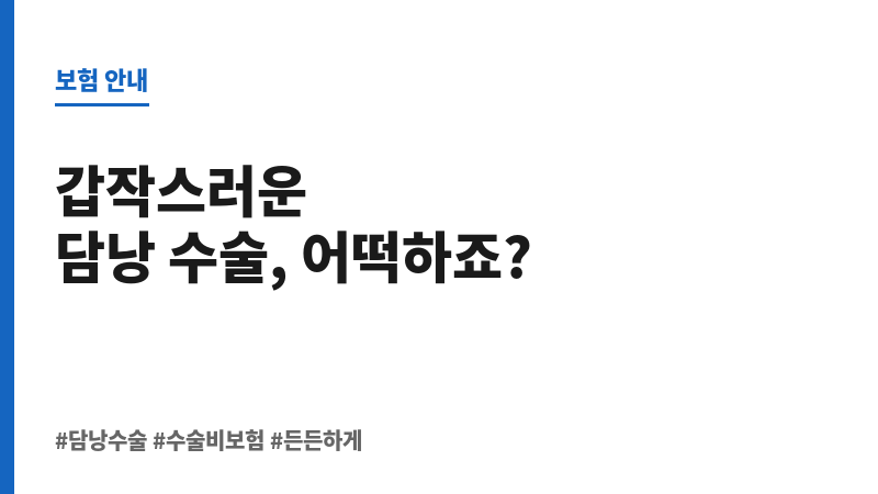 담낭제거수술보험 보조 이미지 담낭제거수술보험 보조 이미지