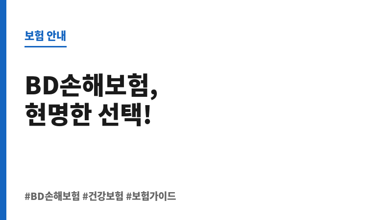 BD손해보험 보조 이미지