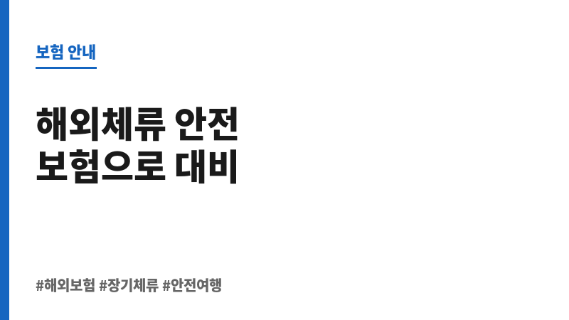 해외장기체류보험비교 보조 이미지 해외장기체류보험비교 보조 이미지