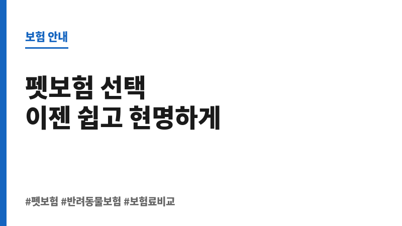 펫보험순위 보조 이미지 펫보험순위 보조 이미지