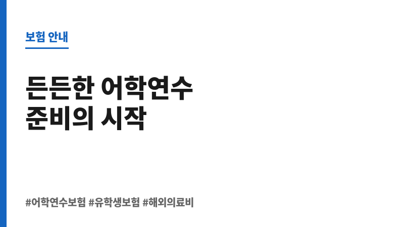 어학연수보험 보조 이미지