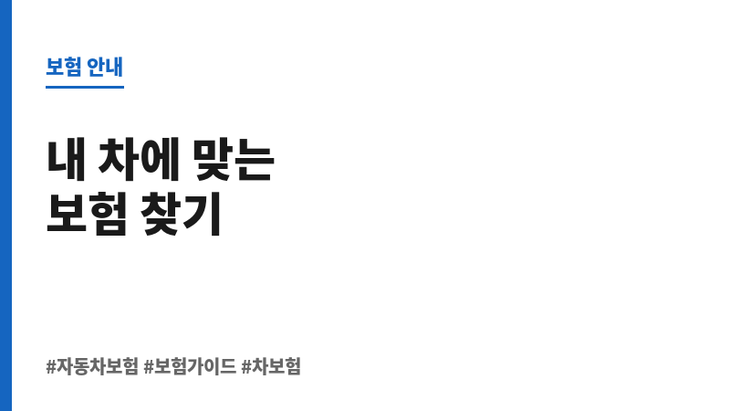 자동차보험의 보조 이미지